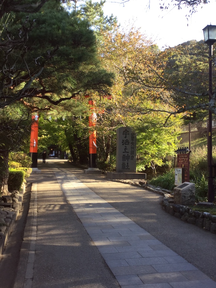 宇治上神社 紅葉前 朝の光